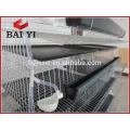 Galvanzied Iron Mesh Metal Quail farming Jaula Venta